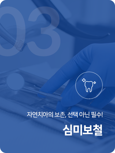 심미보철