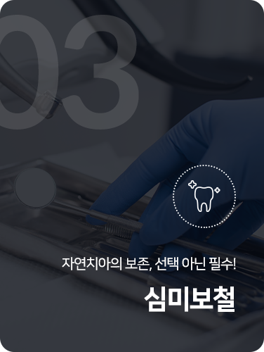 심미보철